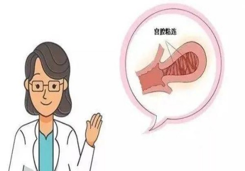 做試管嬰兒前如何調(diào)理內(nèi)膜，學(xué)會(huì)這些方法提高著床成功率